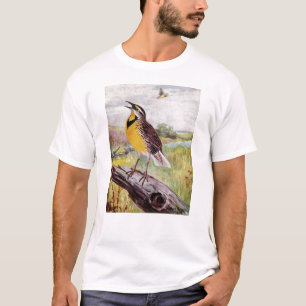 Camiseta Meadowlark em um ramo
