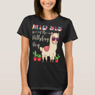 Camiseta Médio É Da Festa De Aniversário Do Menino Lama