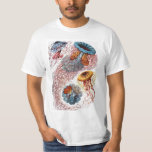 Camiseta Medusa Antiga por Ernst Haeckel, Discomedusae<br><div class="desc">Ilustração antiga de design de biologia da vida marinha por Ernst Haeckel. Uma variedade de animais coloridos de águas-vivas nadando nas águas do mar. Águas-vivas são animais aquáticos de natação livre com um corpo em forma de guarda-chuva e longos tentáculos. Eles podem ser encontrados em todos os oceanos e alguns...</div>