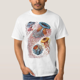 Camiseta Medusa Antiga por Ernst Haeckel, Discomedusae