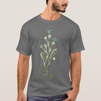Camiseta Medusa - geniculata de Obelia