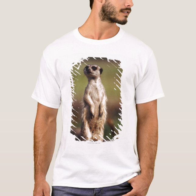 Camiseta meerkat delgado-atado (Frente)