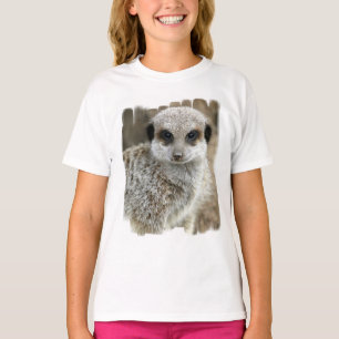 Camiseta Meerkat enfrenta o t-shirt da menina