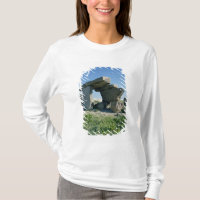 Megalith, pré-histórico