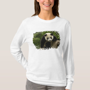 Camiseta Melanoleuca) do Ailuropoda do bebê da panda