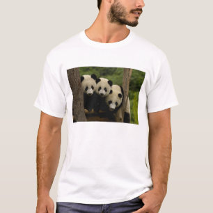 Camiseta Melanoleuca) do Ailuropoda dos bebês da panda