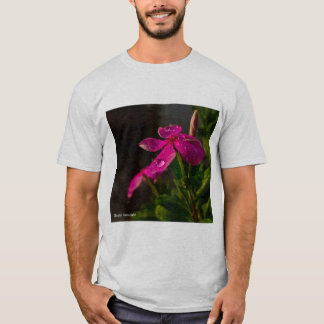 Camiseta melhor