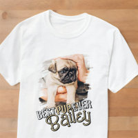Melhor Foto De Pet Dog De Grunge Legal Moderno