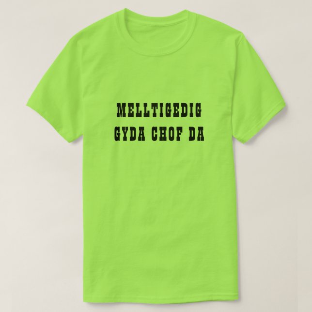 Camiseta Melltigedig gyda | Amaldiçoado com boa memória (Frente do Design)