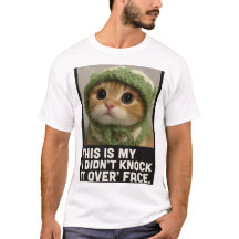 Meme de Gatinho Fofo – “Eu Não Derrubei” 
