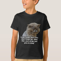 Meme de Gato Engraçado Para Amantes de Gatos e Don