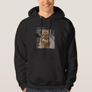 Camiseta Meme de Gato Gato Bobo Gatinho Divertido