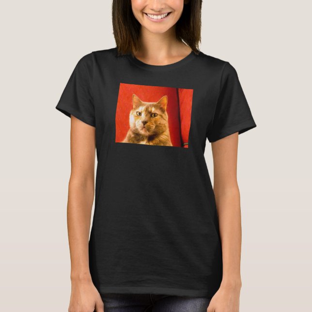 Camiseta Meme de Gato Suspeito (Frente)