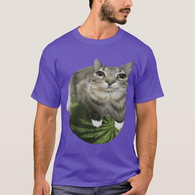 Camiseta Meme do Gato Melancia engraçado (Frente)