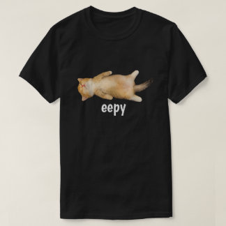 Camiseta Meme do Gato Sonolento Humor Gato Divertido Sarcás