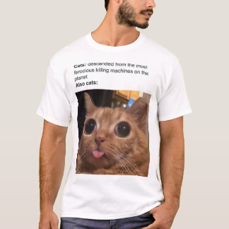 Camiseta memes 2024