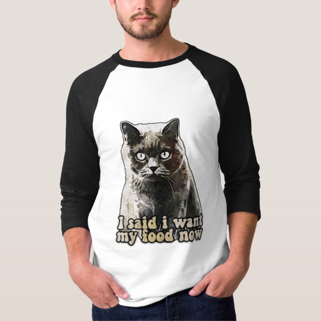 Camiseta Memória de gato engraçado para amantes de gatos e  (Frente)