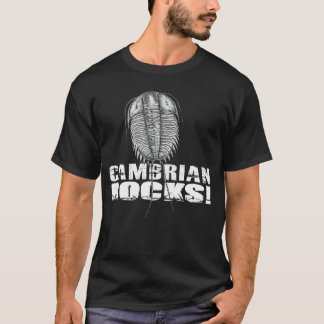 Camiseta menina das Rochas Cambrianas
