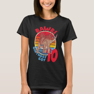 Camiseta Menino 10º Aniversário Eu Rawr Stegosaurus I Famil