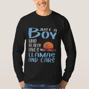 Camiseta Meninos Apenas Um Menino Que Ama Lhamas E Carros