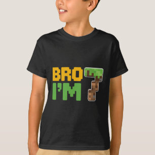 Camiseta Meninos Crianças 7º Aniversário Irmão Eu Tenho 7 A