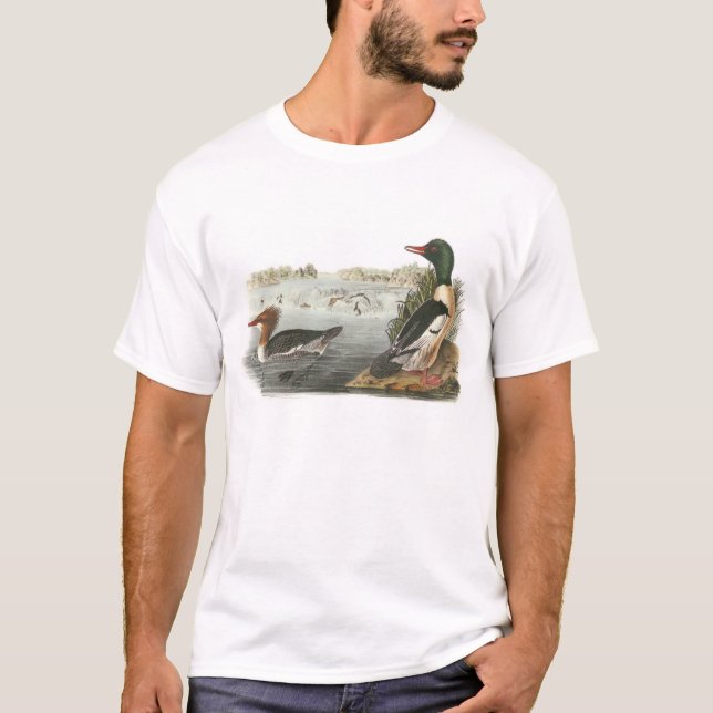 Camiseta Merganso comum por Audubon (Frente)
