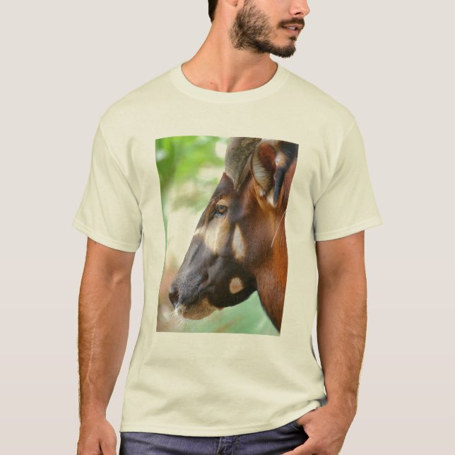 Camiseta Merlin - antílope dos bongos (Frente)