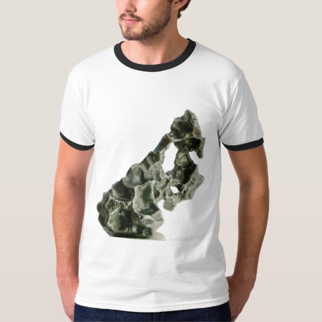 Camiseta Meteorito de Sikhote-Alin (Frente)