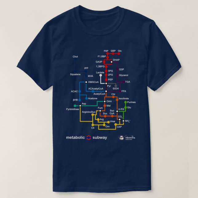 Camiseta Metrô metabólico 2 (Frente do Design)