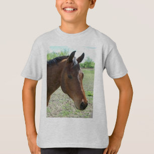 Camiseta Meu amigo, o cavalo