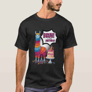 Camiseta Meu aniversário é hoje, família, piñata, lhama, fe