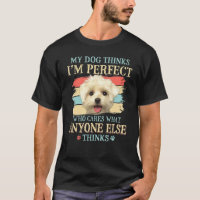 Meu Cachorro Acha Que Sou Um Cachorro Maltês Perfe