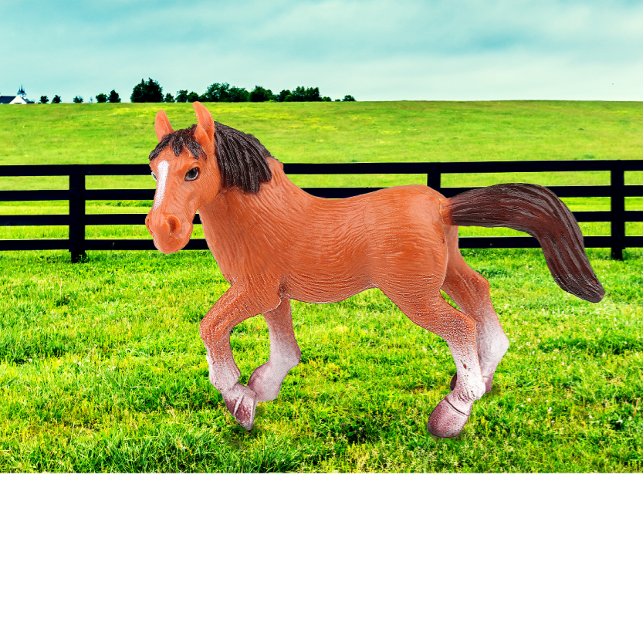 Camiseta Meu Cavalo Favorito (Criador carregado)