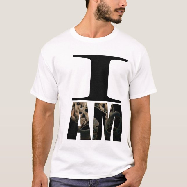 Camiseta Meu depositário dos irmãos (Frente)