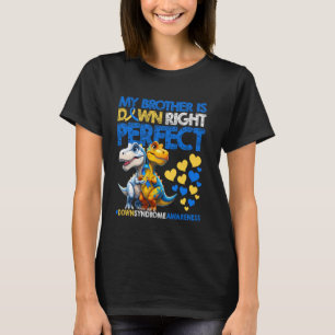 Camiseta Meu Irmão Está Abaixo A Síndrome De Abaixo Perfeit
