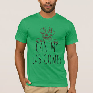 Camiseta "Meu Laboratório Pode Vir?" Teto masculino do labo