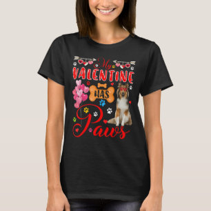 Camiseta Meu Namorados Tem Palhetas Shetland Ocultadores