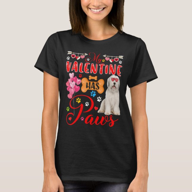 Camiseta Meu Namorados Tem Patas Bonitas De Vidro Collie (Frente)
