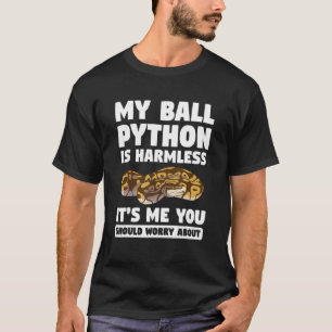 Camiseta Meu Python Bola É Sem Prejuízo Sou Eu Que Você Dev