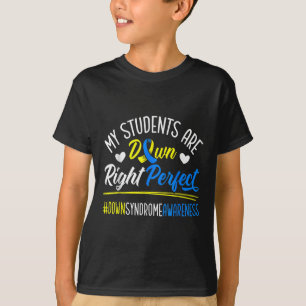 Camiseta Meus Estudantes Estão Com Síndrome Perfeita Para B