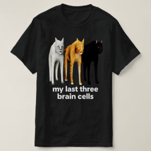 Camiseta Meus Últimos Três Neurônios Gatos  Meme Humor de E