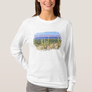 Camiseta México, Baja California Sur, Cardon Cactus em