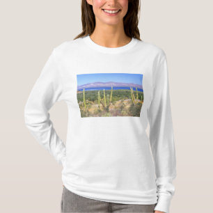 Camiseta México, Baja California Sur, Cardon Cactus em