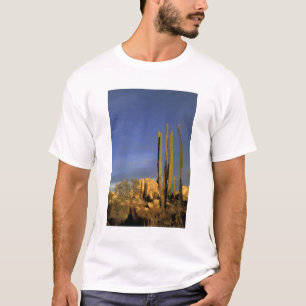 Camiseta México, Baja del Norte, Deserto Nacional de Catavi