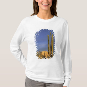Camiseta México, Baja del Norte, Deserto Nacional de Catavi