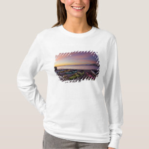 Camiseta México, Baja, Mar de Cortez. Caiaques marítimos e