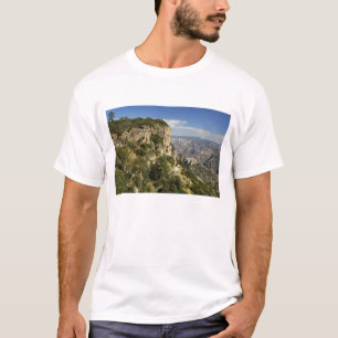 Camiseta México, Estado de Chihuahua, Copper Canyon. ESTE
