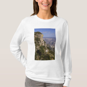 Camiseta México, Estado de Chihuahua, Copper Canyon. ESTE 2