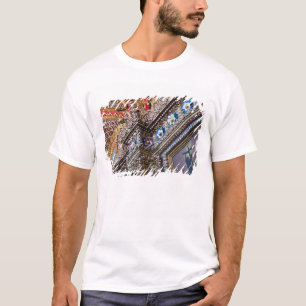 Camiseta México, Querétaro. Detalhe dentro da ornamentada i