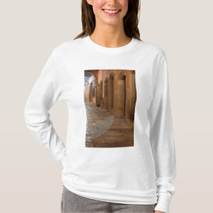 Camiseta México, San Miguel de Allende, Calçada com